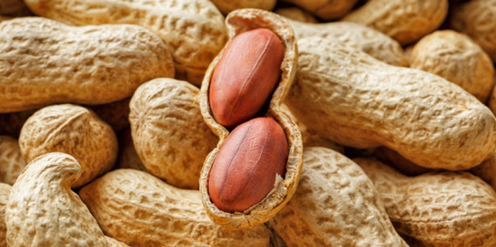 Groundnuts (Peanuts)